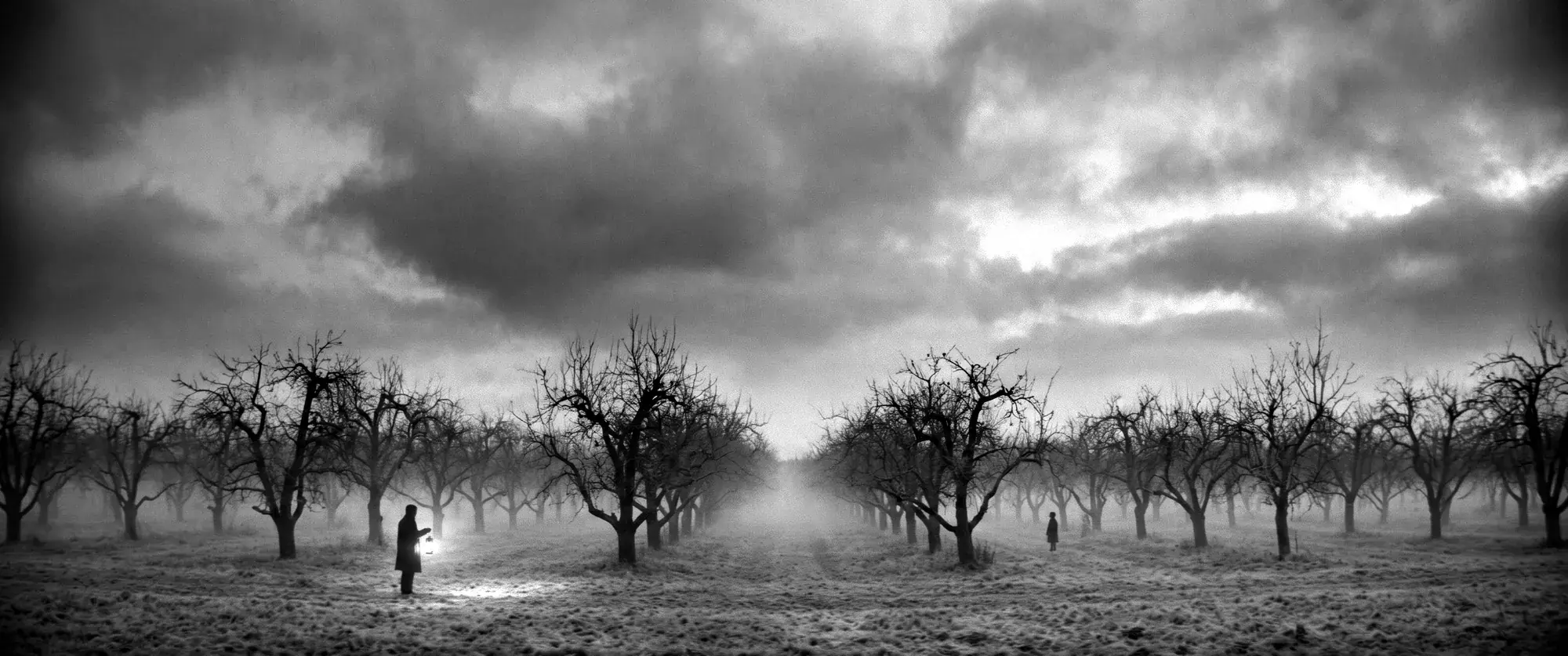 Two distant figures in a misty winter orchard, one holding a lantern